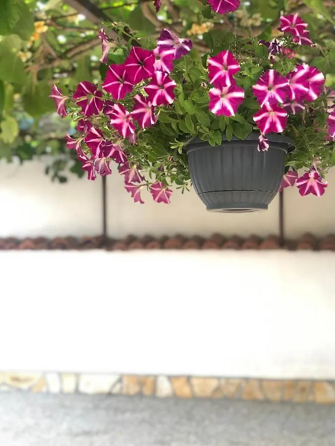 Apartmán Corinne Garden Residence Novigrad Istria
